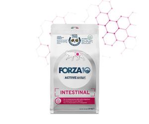 Forza10 Gatto Veterinary Intestinal 1,5 kg