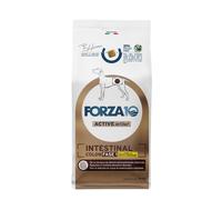Forza10 Active Cane Intestinal Colon Fase 1 con Agnello e Sorgo bianco: 10 Kg