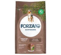 FORZA 10 MEDIUM ADULT CON AGNELLO 12 KG PER CANI ADULTI MANTENIMENTO SECCO