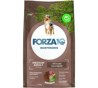 FORZA 10 MEDIUM ADULT CON AGNELLO 12 KG PER CANI ADULTI MANTENIMENTO SECCO