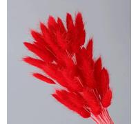 FOSANGPUSHI Fiori secchi,100 Pezzi 40 cm Fiori secchi Naturali Fiori Bianchi Grigi Vera Coda di Coniglio Erba Bouquet Composizione di Fiori per la casa Soggiorno Arredamento Rosso