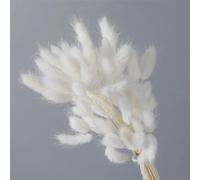 FOSANGPUSHI Fiori secchi,100 Pezzi 40 cm Fiori secchi Naturali Fiori Bianchi Grigi Vera Coda di Coniglio Erba Bouquet Composizione di Fiori per la casa Soggiorno Arredamento Bianco