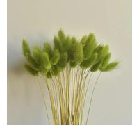 FOSANGPUSHI Fiori secchi,60 pezzi 45 cm fiori secchi soffici coniglietto coniglio coda erba mista decorazione della festa nuziale naturale pampa boho decorazione della casa verde, Dried Flowers F538