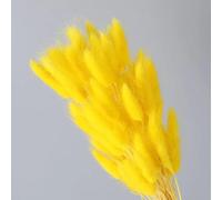 FOSANGPUSHI Fiori secchi a Coda di Coniglio,100 Pezzi 40 cm Fiori secchi Naturali Fiori Bianchi Grigi Vera Coda di Coniglio Erba Bouquet Composizione di Fiori per la casa Soggiorno Arredamento Giallo