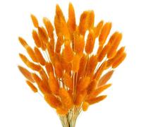 FOSANGPUSHI Fiori secchi a Coda di Coniglio,120 Pezzi 45 cm Bunny Tail Fiori secchi Pampas Erba Decor Boho Coniglio Coda Erba Bouquet Decorazioni per la tavola di Nozze Arancione