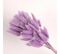 FOSANGPUSHI Fiori secchi a Coda di Coniglio,60 Pezzi 45 cm Bunny Tail Fiori secchi per la casa Decorazione del Vaso Naturale Secco Pampa Coda di Coniglio Erba Disposizione di Nozze Viola
