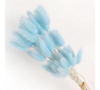 FOSANGPUSHI Fiori secchi a Coda di Coniglio,60 Pezzi 45 cm Bunny Tail Fiori secchi per la casa Decorazione del Vaso Naturale Secco Pampa Coda di Coniglio Erba Disposizione di Nozze Azzurro