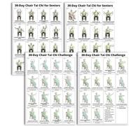 FOSDICK Tabella Tai Chi sulla Sedia,Poster Tai Chi per Principianti Anziani