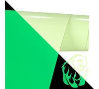 FOSER Vinile Luminoso, rotoli di vinile termoadesivo HTV da 30,5 cm x 1,5 m, per T-shirt, tessuti