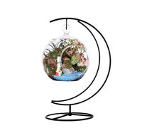 Fosinz Supporto da esposizione in ferro da appendere con ganci per appendere un globo di vetro, una pianta, un terrario, una palla di Natale, una decorazione per la casa, per il matrimonio