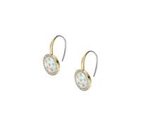 Fossil Women's Stainless Steel with Hook closure Earrings