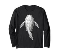 Fossile di Bothriolepis - Arte del Pesce Devonian Placoderm Maglia a Manica