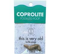 Fossili di coprolite di tartaruga, fossilizzata dal Madagascar