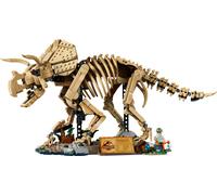 Fossili di dinosauro: Triceratopo