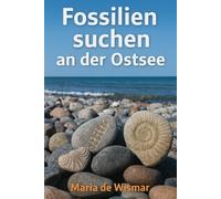 Fossilien suchen an der Ostsee