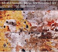 Havard Fossum & Borge-Are Halvorsen Qrt Examination of What (CD) Album