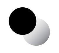 Foster 7362 300 7362300 Piastra ad induzione diametro cm 30 - filotop - cristallo nero