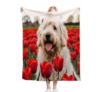 Fotmung Coperta Flanella Mammut Cane Rosso, 240x260 cm Pratica per Salotto e Camera, Accessorio Decorativo Versatile, Lavabile in Lavatrice e Facile da Manutenzione, Respirante