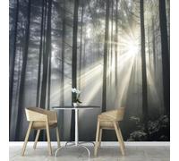 Foto con effetto 3D Foresta Nera, murale naturalistico per la decorazione della cameretta dei bambini, del soggiorno o della camera da letto, 300 cm x 210 cm Poster - Adesivi murali - Quadri senza cor