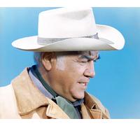 Foto Del Film Bonanza Di Lorne Greene [S266951] Scelta Di Dimensione