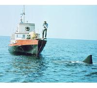 Foto Del Film Jaws Di Robert Shaw [S269124] Scelta Di Dimensione