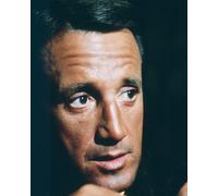 Foto Del Film Jaws Di Roy Scheider [S269119] Scelta Di Dimensione