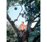 Foto Del Film Tarzan Di Ron Ely [S270951] Scelta Di Dimensione
