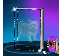 Foto di cristallo 3D personalizzata, immagine 3D incisa al laser, regalo personalizzato per lutto per cani, foto 3D da tavolo, regalo commemorativo per animali domestici