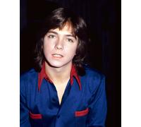Foto Di Musica Di David Cassidy [S274336] Scelta Di Dimensione