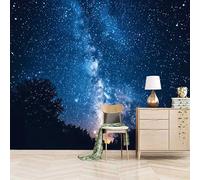 Foto Murale 3d Carta Da Parati Autoadesiva Murale 500x280 cm La Via Lattea Attraversa Il Cielo Notturno-Non Tessuto-Stile Cielo Stellato Da Sogno Rimovibile senza Segni-Per Camera