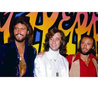Foto Musicale Dei Bee Gees [S274275] Scelta Di Dimensione