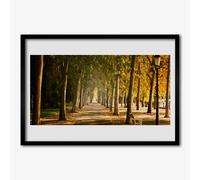 Foto su MDF 70x50 Decorazione artistica da parete incorniciata Viale del parco