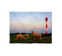 fotobar!style Coperta in Pile, ca. 180 x 135 cm, Pecore al Faro