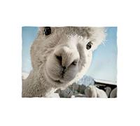 fotobar!style Coperta in Pile ca. 180 x 135 cm Selfie Time - Giovane Alpaca con Pelliccia Bianca