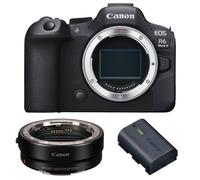 Fotocamera mirrorless Canon EOS R6 Mark II + EF-EOS R + 1 Canon LP-E6NH + Ebook 20 consigli per foto che colpiscono - Nouvo