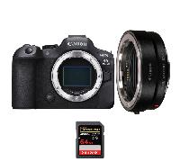 Fotocamera mirrorless Canon EOS R6 Mark II + EF-EOS R + 1 SanDisk 64GB Extreme PRO UHS-II + Ebook 20 consigli per foto che colpiscono - Nouvo