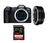 Fotocamera mirrorless Canon EOS R8 + EF-EOS R + 1 SanDisk 256GB Extreme PRO UHS-II + Ebook 20 consigli per foto che colpiscono - Nouvo