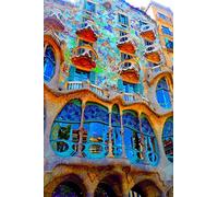 Fotografia a 30,5 x 45,7 cm stampa fotografica di casa Batllo Antonio Gaudi Building, Barcellona, Catalogna, Spagna ritratto foto foto a colori stampa artistica. Fotografia di Andy Evans foto