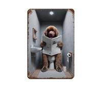 Fotografia di A Brown Terranova che legge il giornale sulla toilette retrò poster in metallo metallo latta segno chic arte retrò pittura ferro bar grotta caffè famiglia garage poster decorazione da