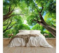 Fotomurale 3D 300 x 210 cm per Cameretta Bambini Carta da Parati in TNT Verde Realistico Foresta Luci E Ombre Alberi Secolari - Decorazione Muro per Camera dei Ragazzi e Ragazze, Facile da Installare