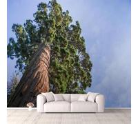 Fotomurale Albero Alto Carta da Parati Paesaggio Vegetale 3D Fotomurali In Tessuto Non Tessuto 200x140 Decorazione Parete Camere da Letto Soggiorno Pareti Murale Poster a-4354