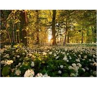 Fotomurale Albero Del Fiore Della Foresta Carta da Parati Paesaggio 3D Fotomurali In Tessuto Non Tessuto 400x280 Decorazione Parete Camere da Letto Soggiorno Pareti Murale Poster Giganti a-8070