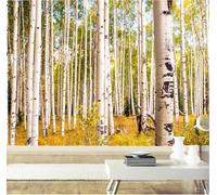 Fotomurale Betulla Carta da Parati Autunno Nella Woodlanda 3D Fotomurali In Tessuto Non Tessuto 250x175 Decorazione Parete Camere da Letto Soggiorno Pareti Murale Poster Giganti a-2219
