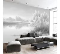 Fotomurale da Parete Sfondo Murale Schizzo Paesaggio, Carta da Parati Fotografica Riva Del Lago Canne 350Lx256A cm, Moderne Decorazione Soggiorno Camera de Letto Sala Ufficio