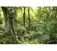 Fotomurale Giungla Tropicale Carta da Parati Albero Vegetale 3D Fotomurali In Tessuto Non Tessuto 400x280 Decorazione Parete Camere da Letto Soggiorno Pareti Murale Poster Giganti a-8798