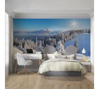Fotomurale Inverno Nella Woodlanda Carta da Parati Paesaggio Innevato 3D Fotomurali In Tessuto Non Tessuto 350x256 Decorazione Parete Camere da Letto Soggiorno Pareti Murale Poster Giganti a-3037