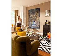 Fotomurale komar Lion, Leone, National geographics, 127 x 184 cm