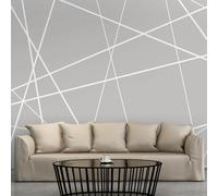 Fotomurale - Modern Cobweb 300X210 cm Carta da Parato Erroi