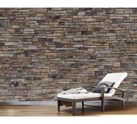 Fotomurale Muro di Mattoni Carta da Parati Retrò 3D Fotomurali In Tessuto Non Tessuto 250x175 Decorazione Parete Camere da Letto Soggiorno Pareti Murale Poster Giganti a-4555
