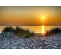 Fotomurale Oceano Carta da Parati Paesaggio Dell'alba Sulla Spiaggia 3D Fotomurali In Tessuto Non Tessuto 400x280 Decorazione Parete Camere da Letto Soggiorno Pareti Murale Poster Giganti a-10086